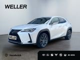 Lexus UX 250h Launch Edition *Navi*LED*CAM*Spurhalteas - Lexus UX Gebrauchtwagen