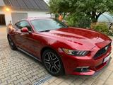 Ford Mustang 2.3 EcoBoost Premium - Europ. Modell  - Ford Mustang: Premium