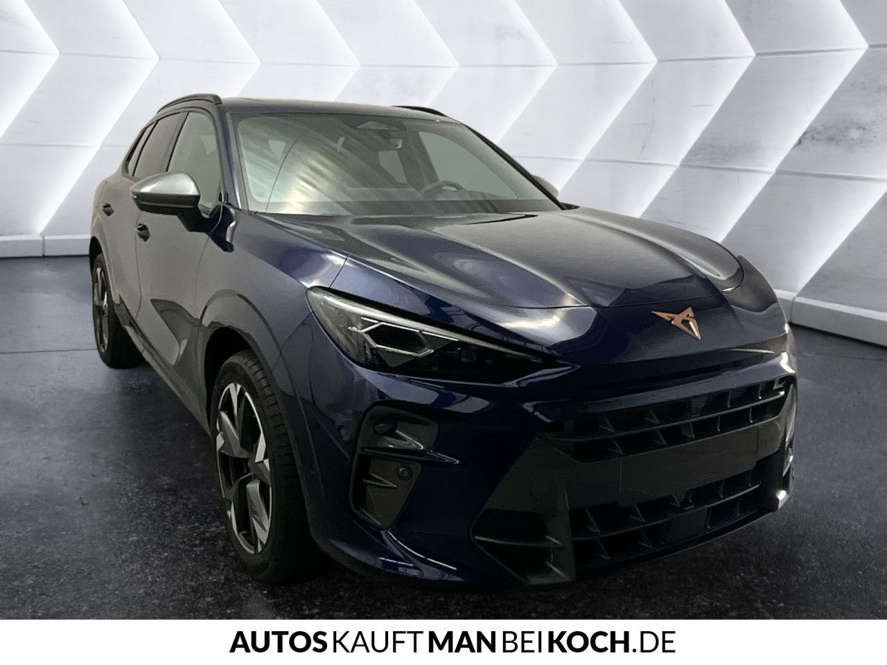 Cupra Terramar - Bild 7