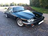 Jaguar XJS Cabrio, sehr schöner Oldtimer! - Jaguar aus 1993