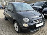 Fiat 500 1.0 Hybrid Klima&Sound 15" PDC NSW - Fiat 500: Metallic