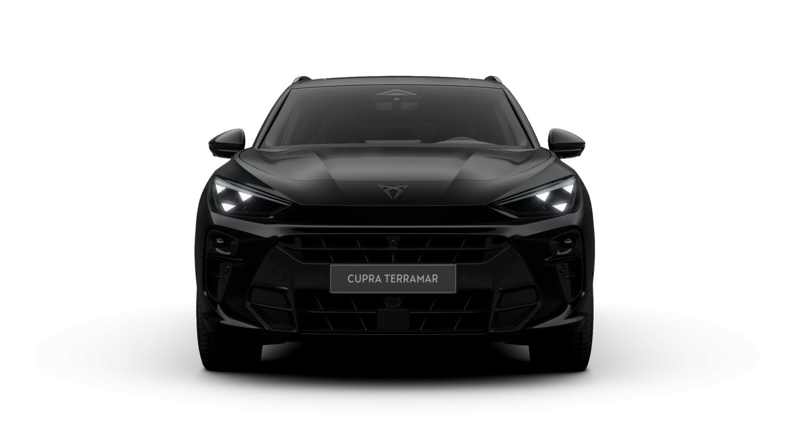 Cupra Terramar VZ Tribe Edition 2.0 TSI 195 kW DSG 4Dr imagem 2