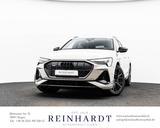 Audi E-TRON 55 2x S LINE BLACK 21Z./ACC/PANO/HuD/B&O - mit Elektro-Antrieb: Beige, Head-Up Display
