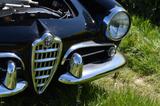 Alfa Romeo Giulia Spider 1600 Typ 101.23 restauriert - Alfa Romeo Spider 1600 Gebrauchtwagen