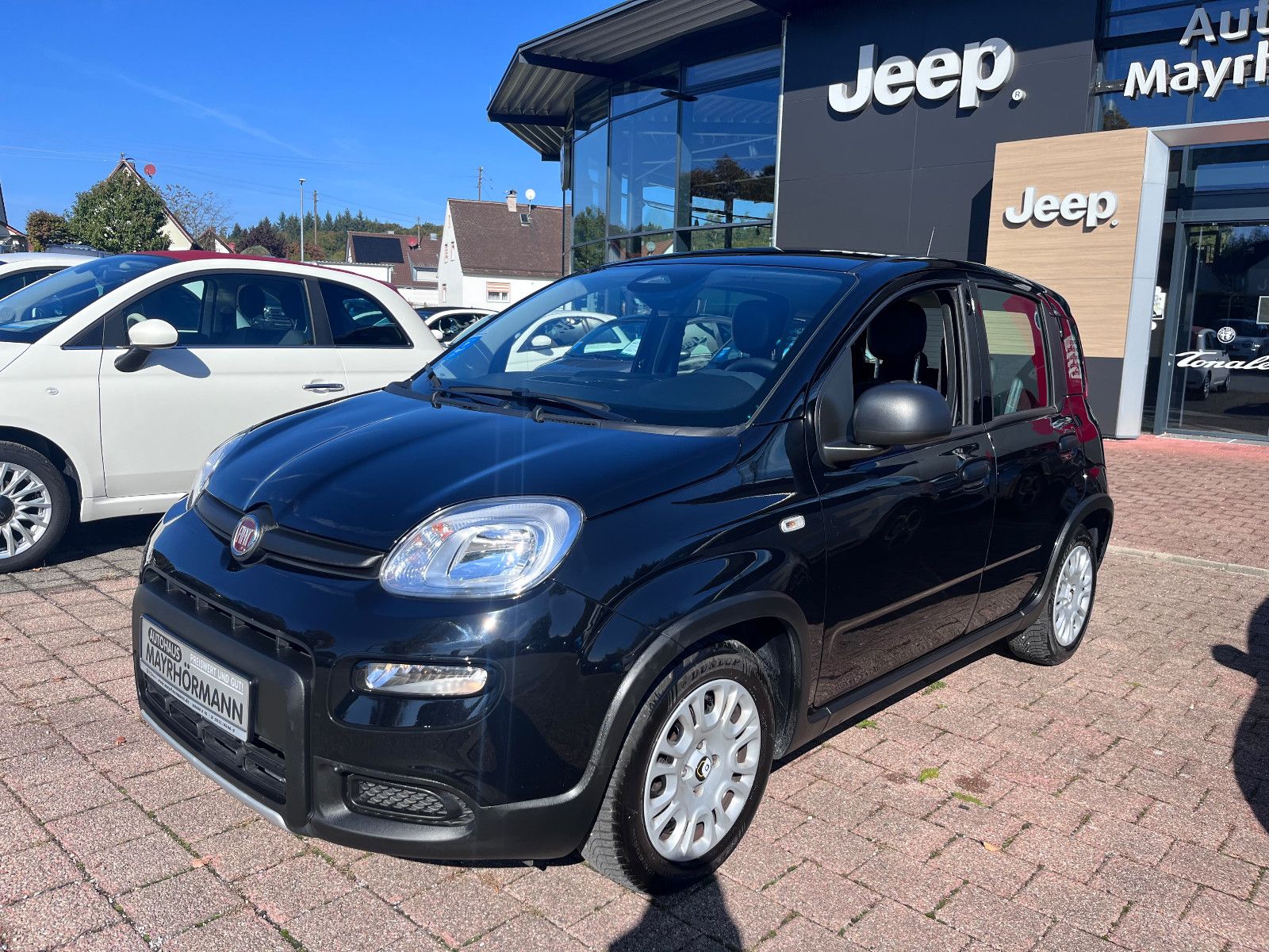 Fahrzeugabbildung Fiat Panda Hybrid