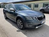 Skoda Octavia 2,0 TDI Scout 4x4 Autom.CarPlay+18 Zoll - Skoda Octavia: 1z
