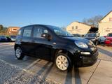Fiat Panda Easy Sportsitze Sport Lenkrad - gebrauchte Fiat Panda aus dem Jahr 2016