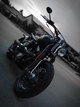 Harley-Davidson Cross Bones 