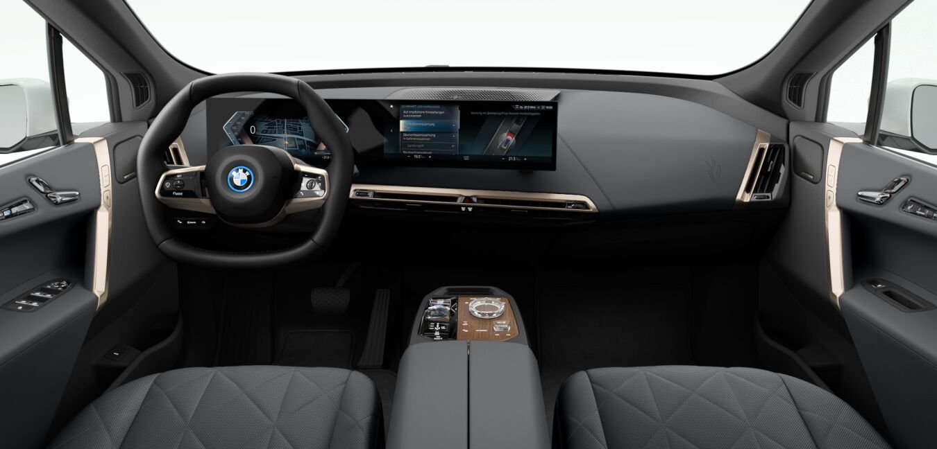 BMW iX xDrive40 ACC Laser SpurAss StHzg 360° AHK RFK foto 4