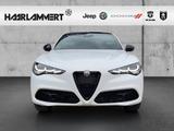 Alfa Romeo Stelvio Tributo Italiano Q4 2.0 HARMAN/KARDON+PD - Alfa Romeo Stelvio Tributo-Italiano