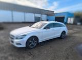 Mercedes-Benz CLS 500 4MATIC Shooting Brake - Mercedes-Benz CLS 500 Shooting Brake Gebrauchtwagen