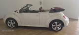 Volkswagen New Beetle 1.9 TDI 105CV Cabrio Lim.  - Volkswagen New Beetle: Beige