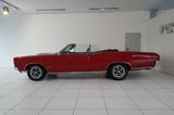 Pontiac GTO Cabriolet 6,5l V8 *H-ZULASSUNG*GUTER ZUSTAND - aus 1966: Cabrio