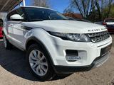 Land Rover Range Rover Evoque Pure Technik/Meridian/Pano/SH - Land Rover Range Rover Evoque: Pure Technik