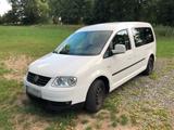 Volkswagen VW Caddy Maxi - Volkswagen Caddy Maxi aus 2008
