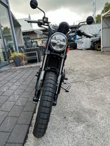 Royal Enfield Bear 650 Petrol Green - Offers