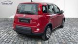 Fiat Panda 1,0 Hybrid (MHEV) Pandina Base DAB MFL PDC - Fiat Gebrauchtwagen in Augsburg