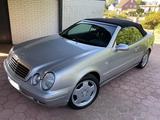 Mercedes-Benz Mercedes CLK Cabrio Restauriert m. Gutachten - Autos aus dem Jahr 1999