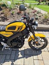Yamaha XSR125 - YAMAHA GELB