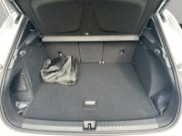 Cupra Terramar - Vorschau Bild 14