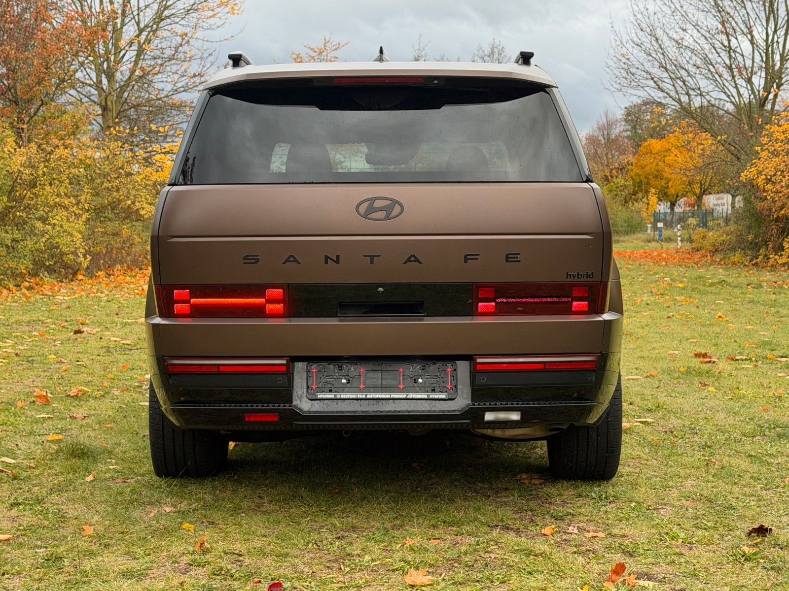 Fahrzeugabbildung Hyundai SANTA FE 1.6T-GDI HEV Blackline *Standhzg*AHK*