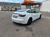 Tesla Model 3 Performance, 82KWH, 513PS, AHK, 8Fach - Tesla in Stuttgart