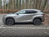 Lexus NX 300h E-FOUR Luxury Line - Lexus in Duisburg