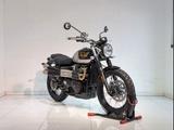 Triumph Scrambler 900 E5+ ICON EDITION *101KM NEUWERTIG - TRIUMPH 900 SCRAMBLER