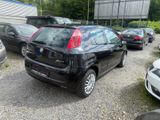 Fiat Grande Punto 1.2 8V Active - Fiat Grande Punto in Gelsenkirchen