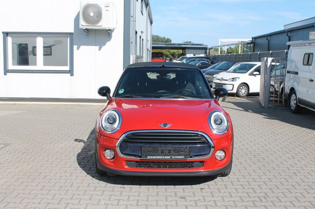 MINI COOPER Cabrio Cooper*LEDER*TÜV+INSP NEU*