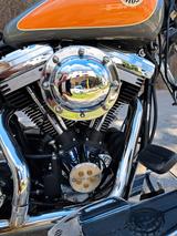 Harley-Davidson Softail Springer FLSTS - HARLEY-DAVIDSON SPRINGER SOFTAIL