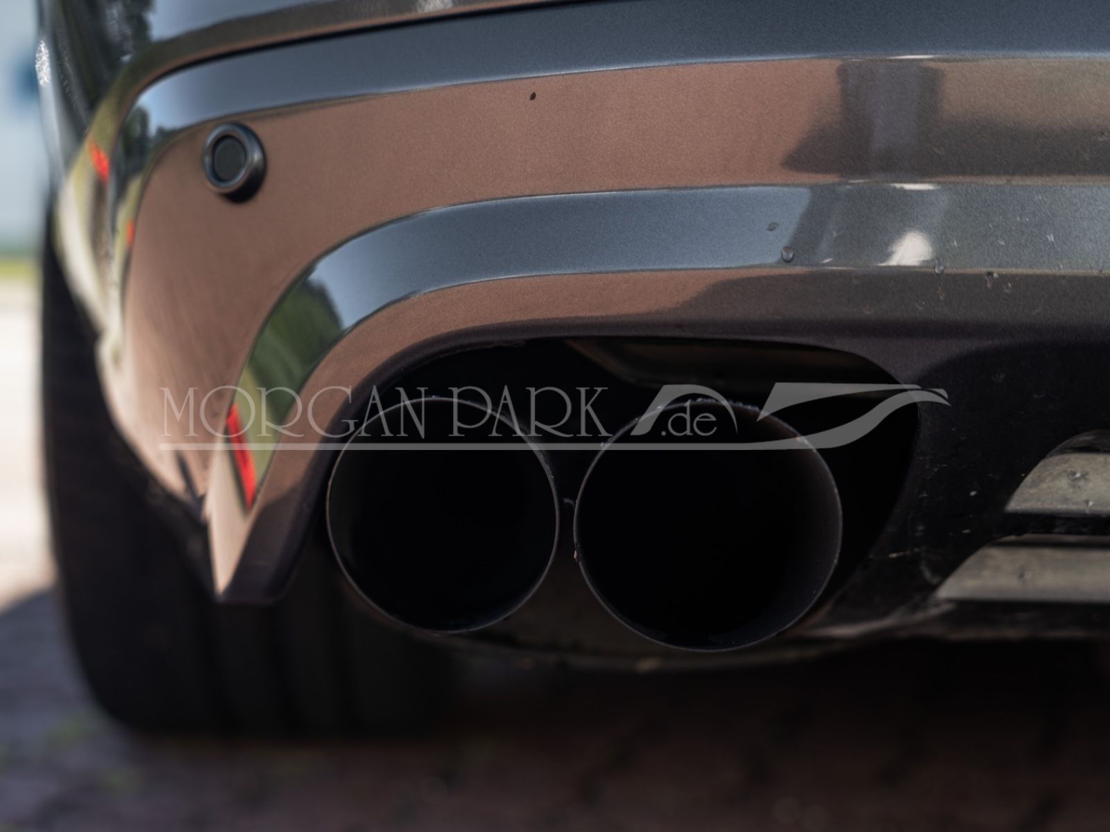 Fahrzeugabbildung Ford Mustang GT *Neidfaktor+480PS*