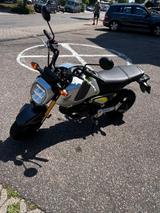 Honda MSX Grom - HONDA MSX