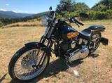 Harley-Davidson FXSTSB FXST FXSTC Bad Boy - HARLEY-DAVIDSON FXSTS