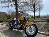 Harley-Davidson Fat Boy - Angebote