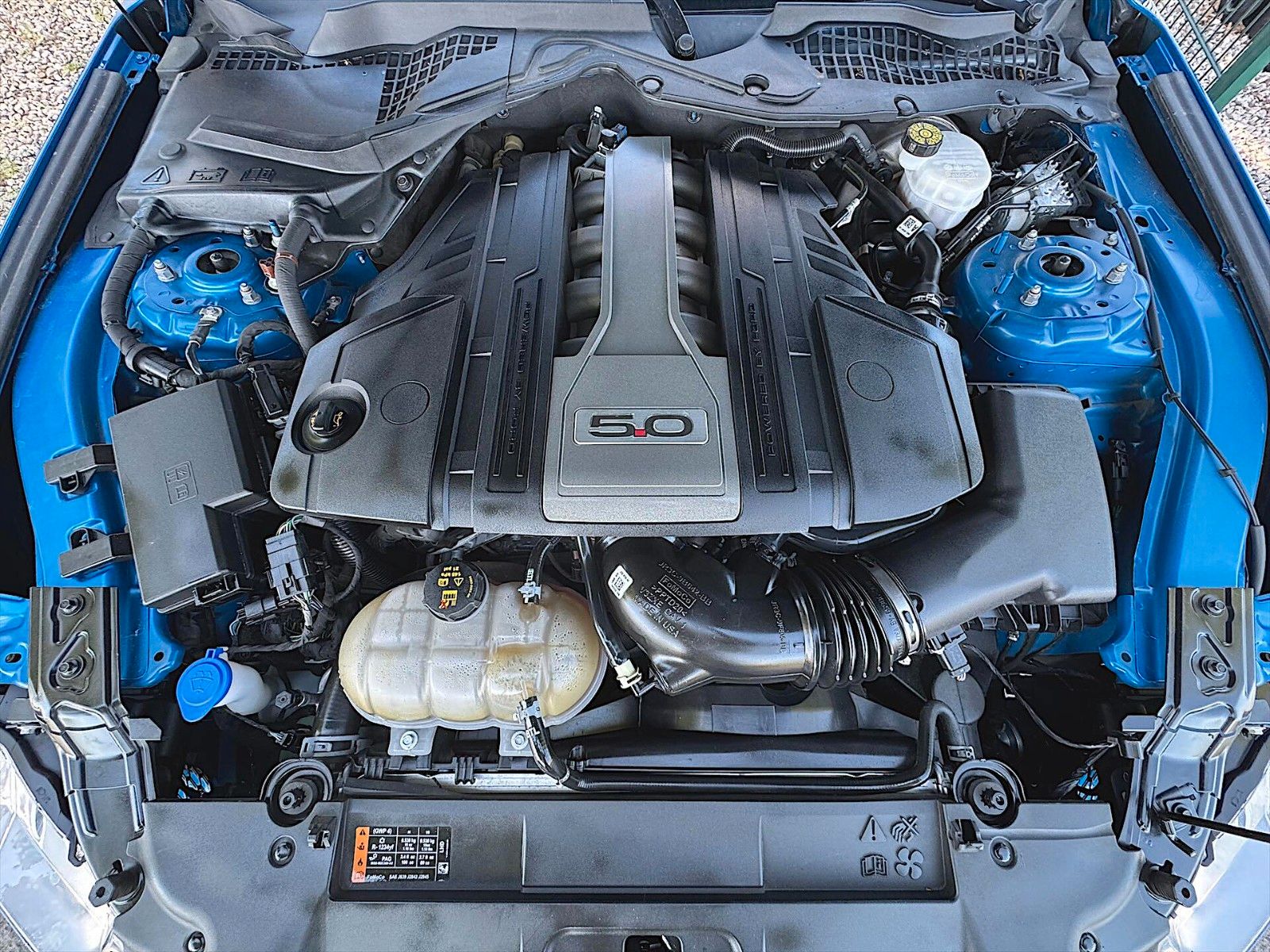 Fahrzeugabbildung Ford Mustang Shelby GT 500 5.0 V8 Performance *LED*