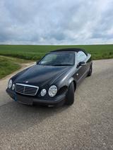 Mercedes-Benz CLK 230 KOMPRESSOR ELEGANCE Elegance - Mercedes-Benz CLK 230 aus 1999: Kompressor