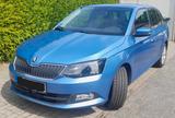 Skoda Fabia 1.4l TDI 66kW Joy Combi Joy - Skoda Fabia mit Diesel-Antrieb: 1.6
