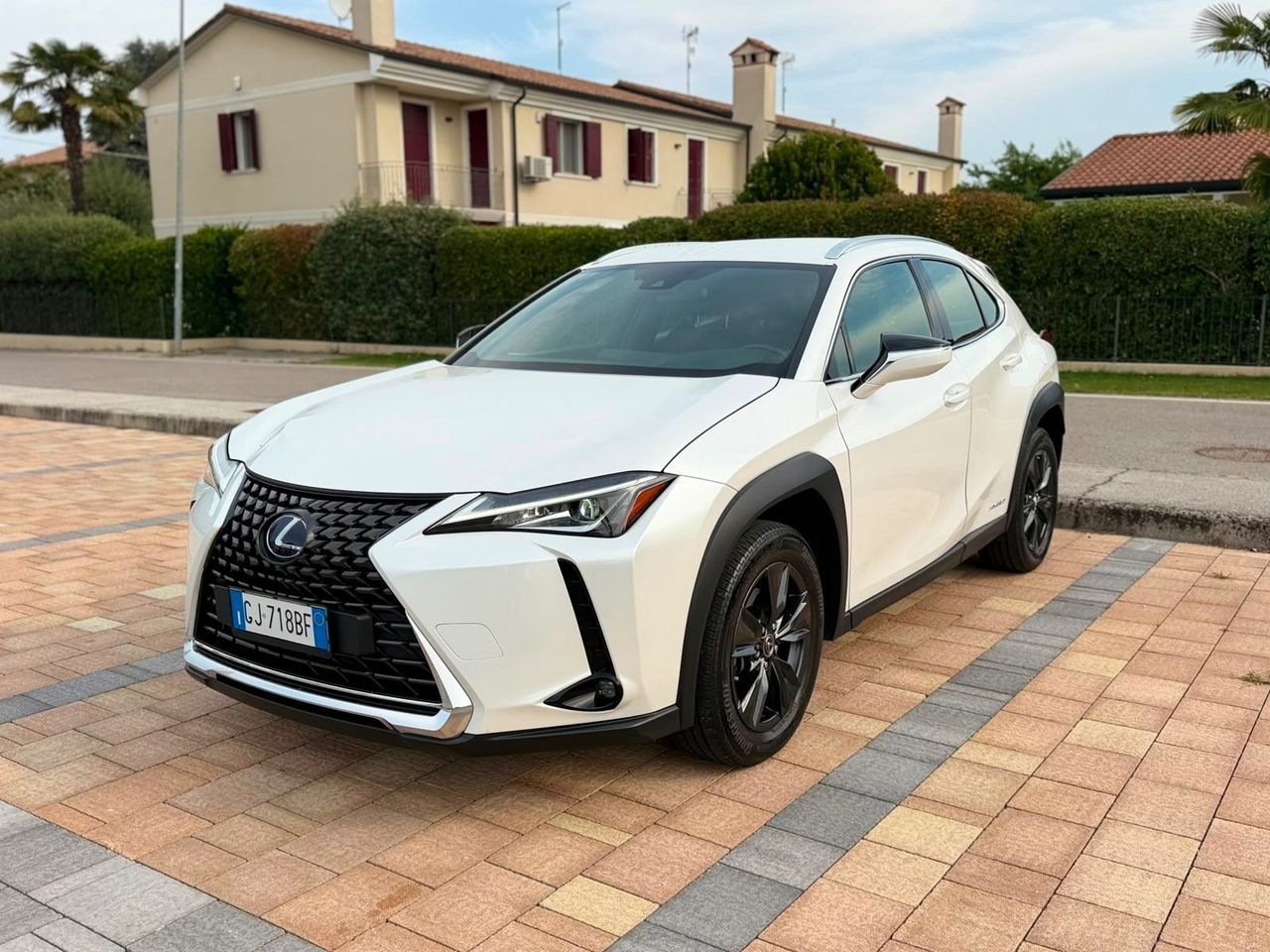 Lexus UX Hybrid F Sport ibrida Benzina