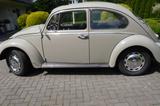 Volkswagen Käfer - graue Volkswagen Käfer