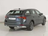 Skoda Octavia Combi 2.0 TDI Scout 4x4 DSG AHK/Matrix - Skoda Octavia: Scout TDI