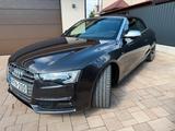 Audi S5 3.0 TFSI S tronic quattro Cabriolet - - Audi S5: Leder