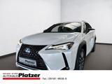 Lexus UX 250h LED Apple CarPlay Mehrzonenklima LenkHZG - Lexus UX aus 2022
