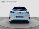 Ford Puma ST X - Track Pack, Pano, voll - Ford: ST