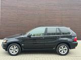 BMW X5 4.4i / "Bayer mit Biss" / SEHR GEPFLEGT - BMW X5 aus 2001: 4.4