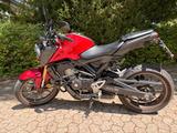 Honda CB 125R: gepflegtes Einsteigermotorrad - HONDA CB125E