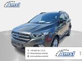 Ford Kuga 2.0 EcoBoost AT ST-Line 4x4 *AHK*Winterpake - Ford: At