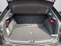 Skoda Scala - Vorschau Bild 16