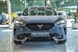 Cupra Formentor 2.0 TDI NAVI PANO LED MATT Ambiente - Cupra Formentor Matt Gebrauchtwagen