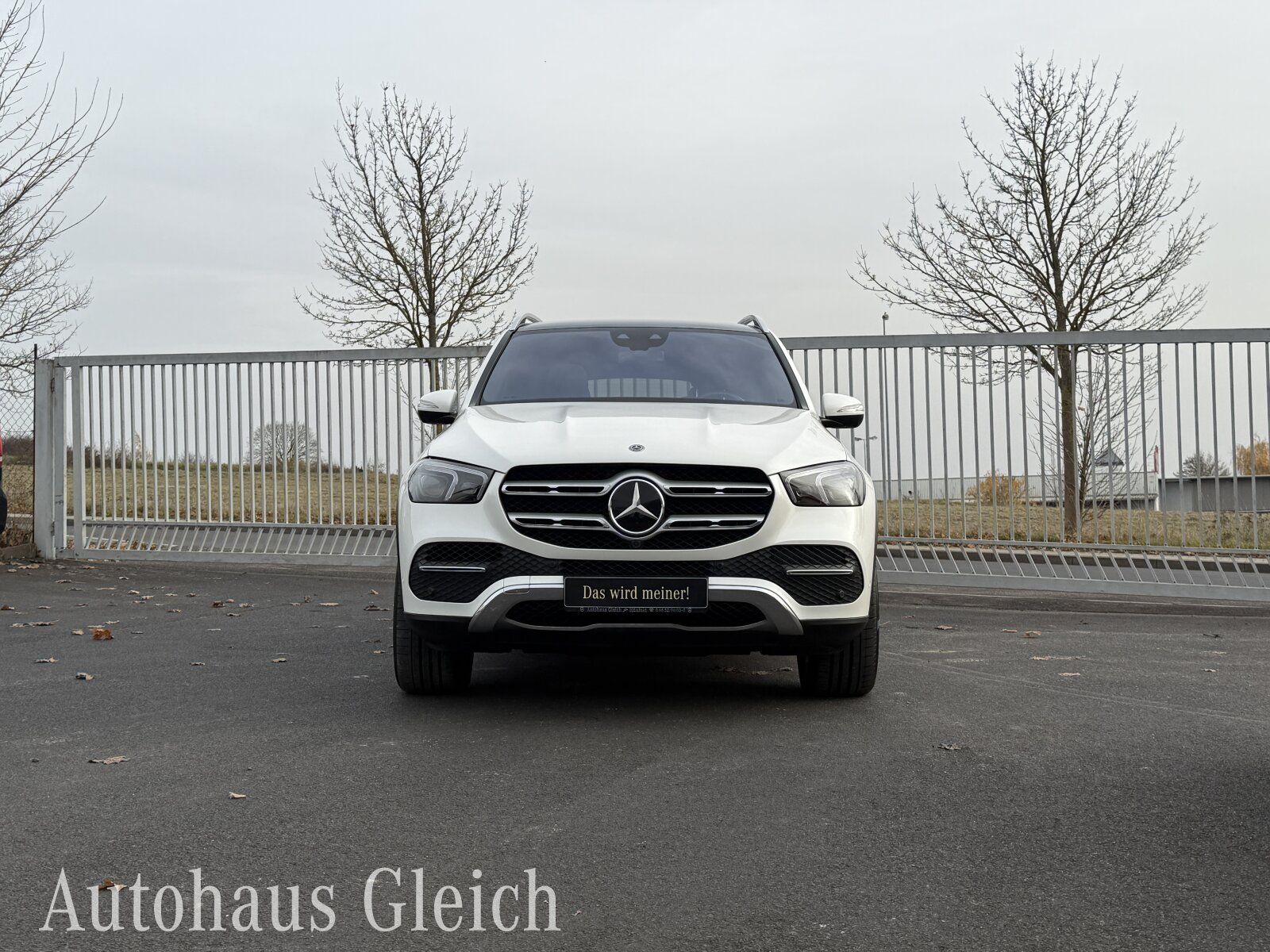 Fahrzeugabbildung Mercedes-Benz GLE 350 d 4Matic (EURO 6d) EXCLUSIVE Interieur/B